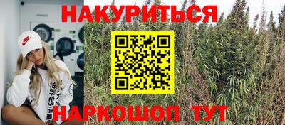 эйфоретик Дубна