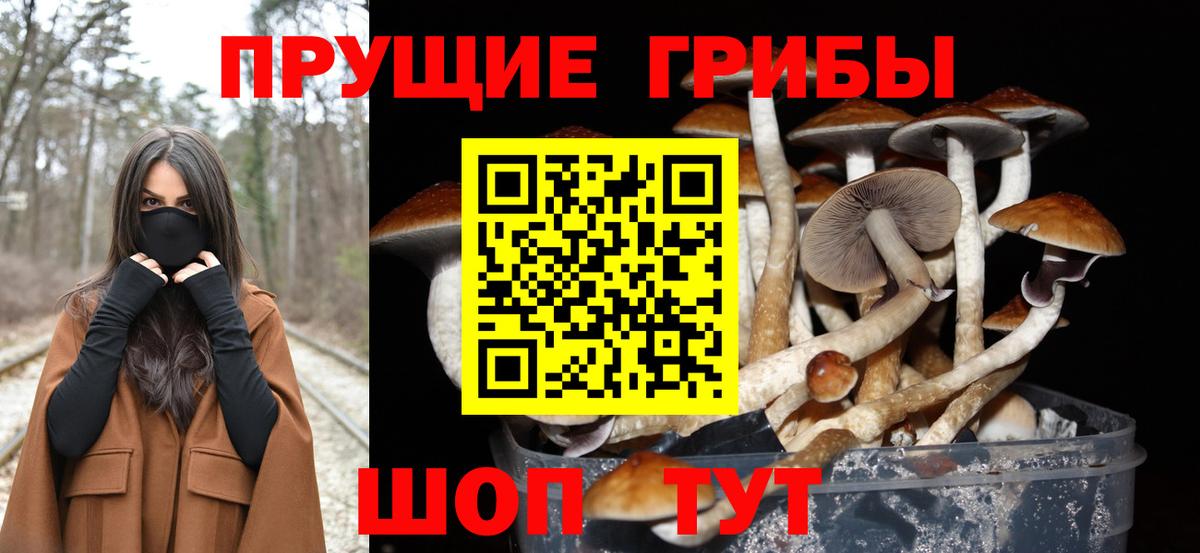 Нефтеюганск  Галлюциногенные грибы мухоморы  Вход с VPN 